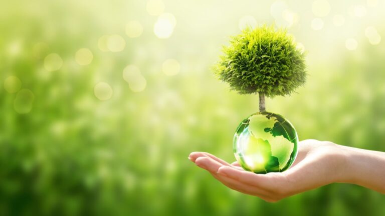 "Discover the Benefits of Green Chemistry: Life Cycle Assessment, Chemical Waste Management, and Green Solvents"